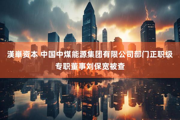 漢崋资本 中国中煤能源集团有限公司部门正职级专职董事刘保宽被查